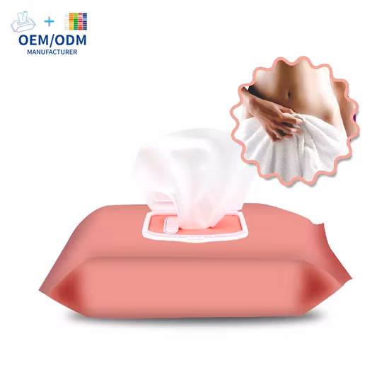 Hygiene Wet Wipes, Antibacterial Wet Wipes