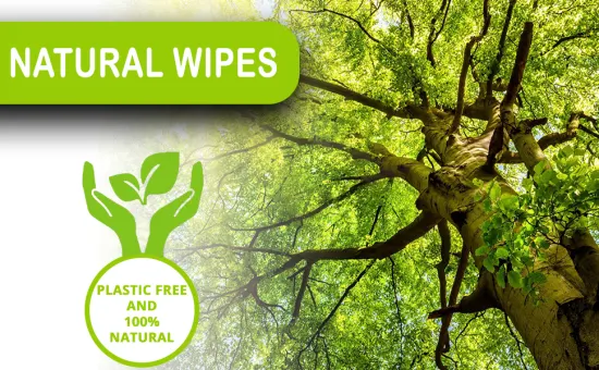Biokleen Oem Odm Manufacturer Customization 80pcs Eco Friendly Organic Biodegradable Bamboo Sensitive Skin Hand Cleaning 100% Natural Baby Wet Wipes